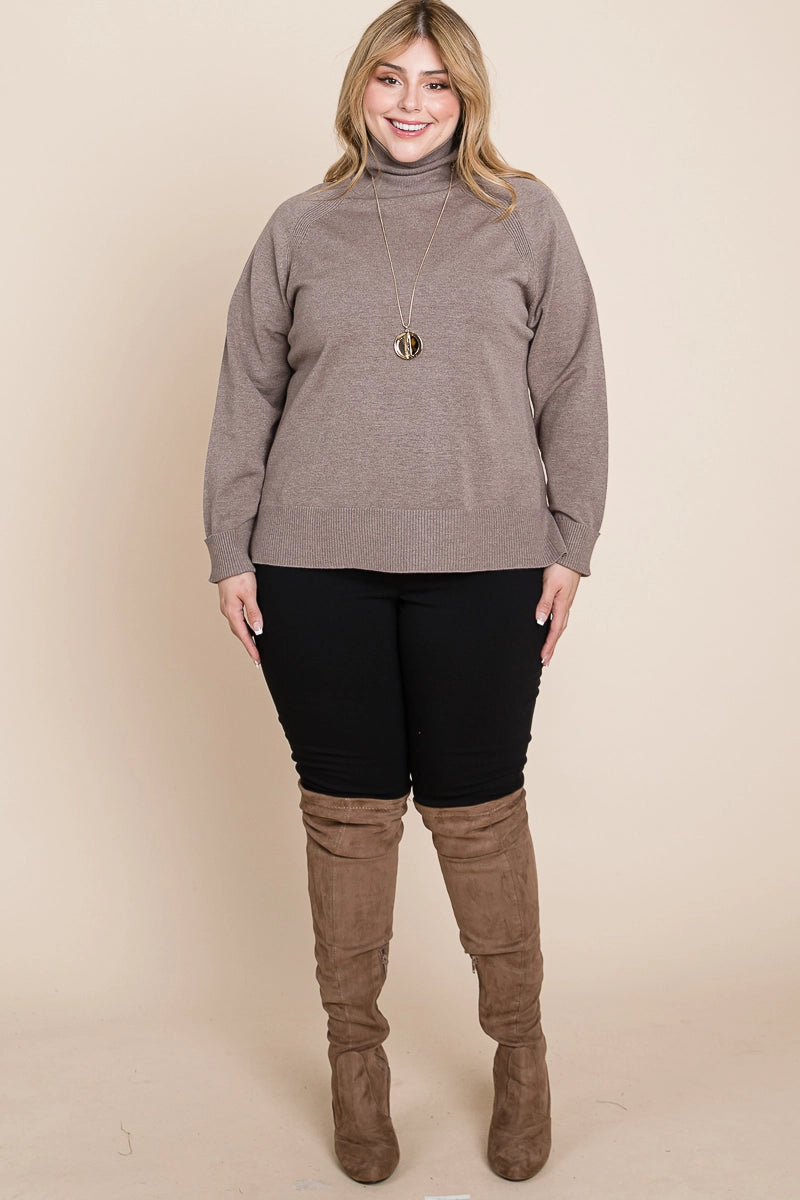 Plus Size Buttery Soft Solid Knit Two Tone Turtleneck - Mocha