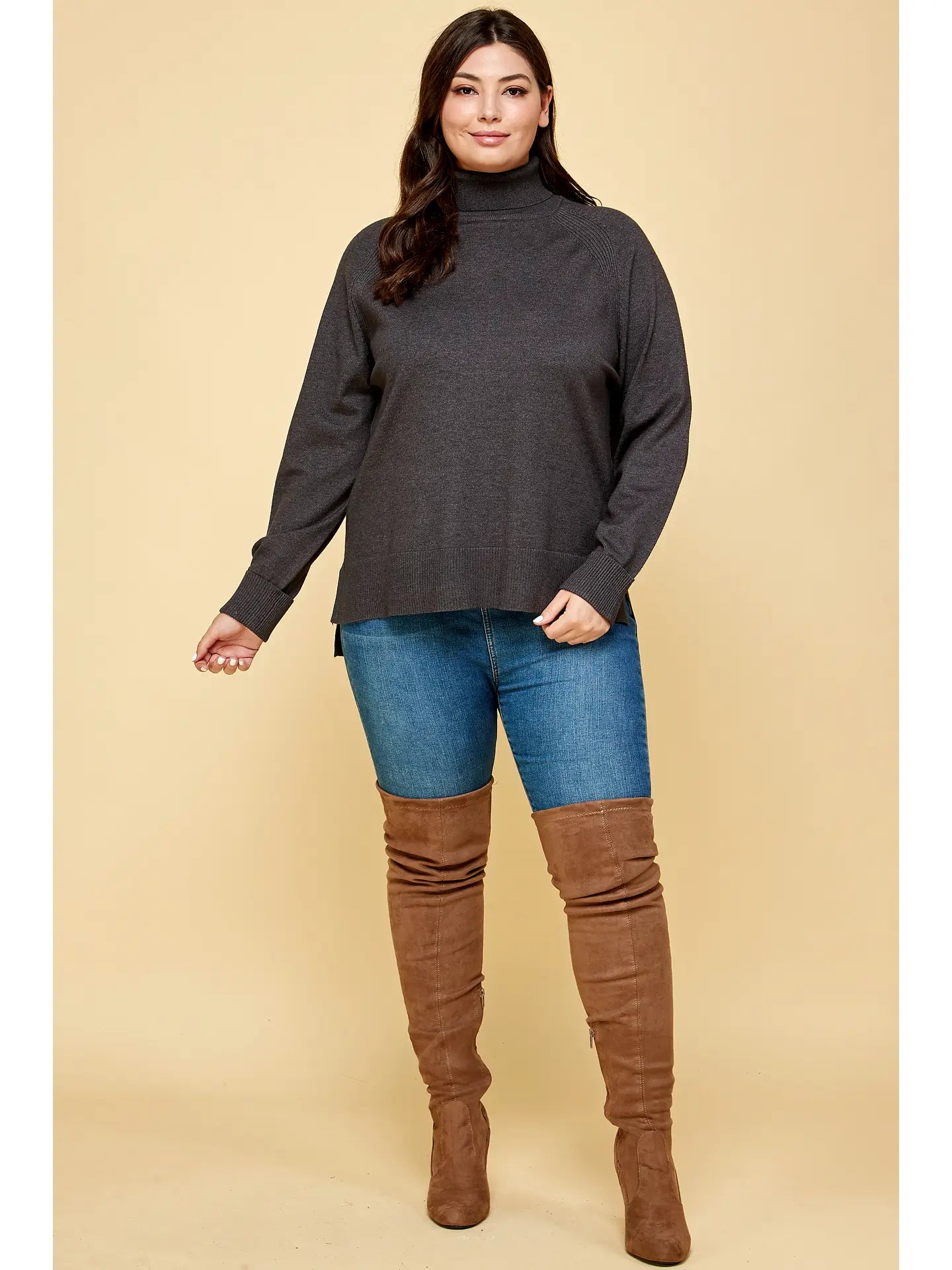 Plus Size Turtleneck Solid Sweater