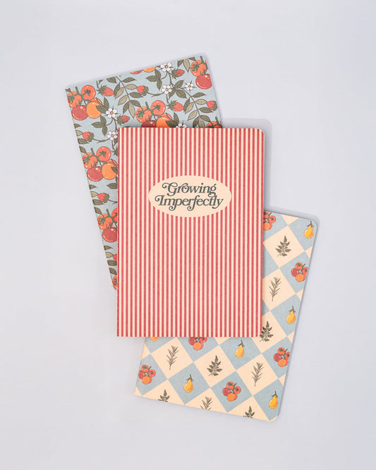 Ban.do Hold That Thought Notebook Set - Growing Imperfectly