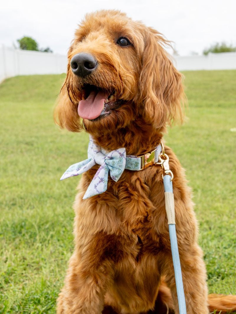 Simply Southern Pet Leash
