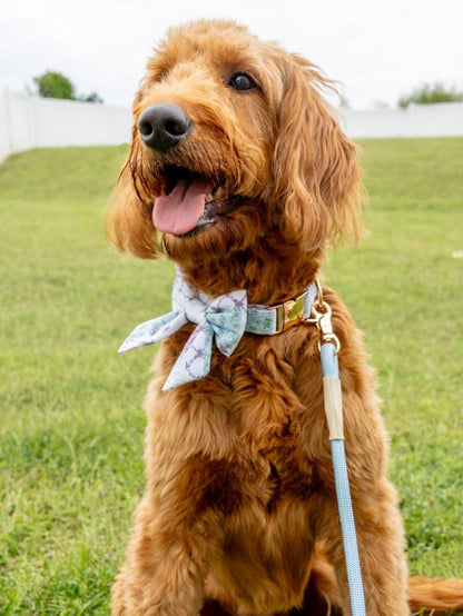 Simply Southern Pet Leash