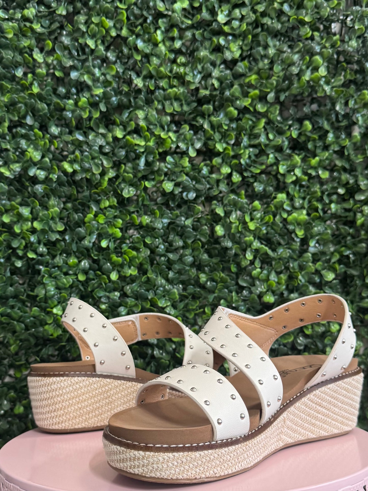 Corkys Chit Chat -Ivory