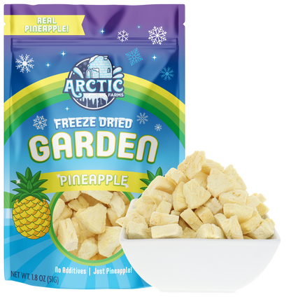 Freeze Dried Pineapple