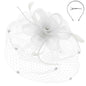 Flower w/ Dotted Netting Mesh Women's Fascinator