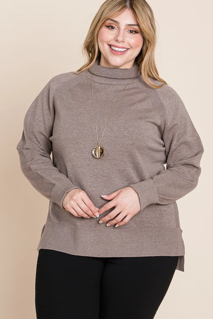 Plus Size Buttery Soft Solid Knit Two Tone Turtleneck - Mocha