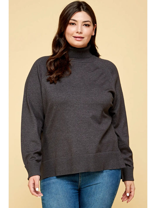 Plus Size Turtleneck Solid Sweater