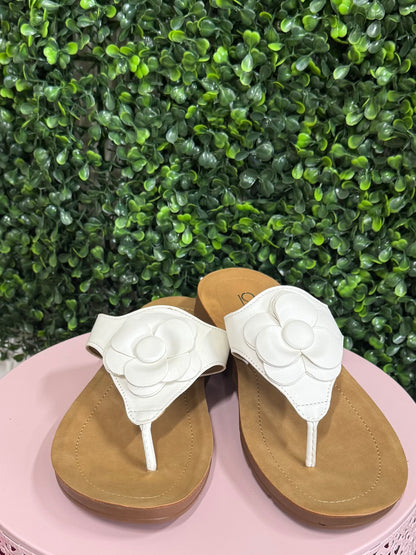 Corkys So Delish - White