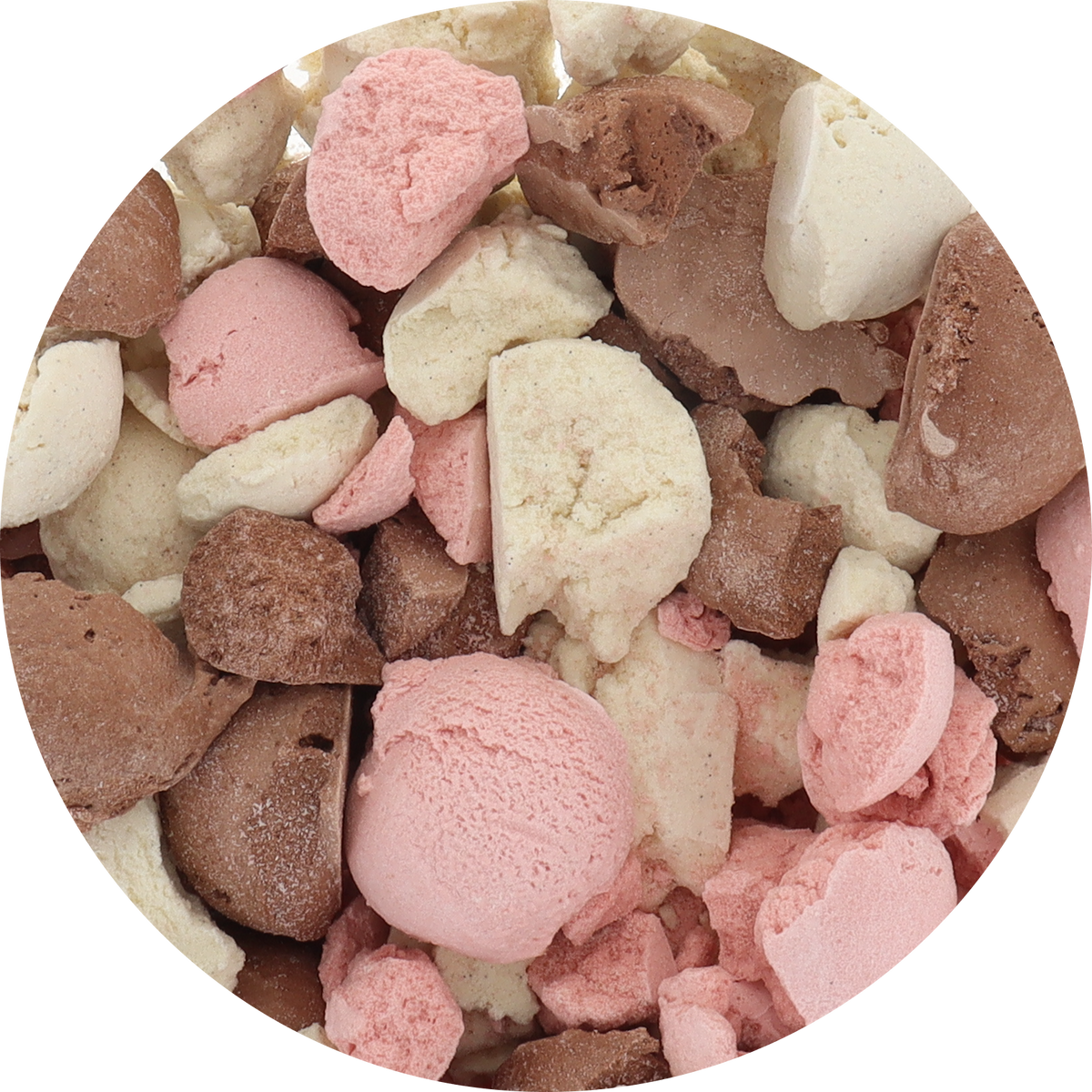 Freeze-Dried Neapolitan Protein Ice Cream Zero Sugar