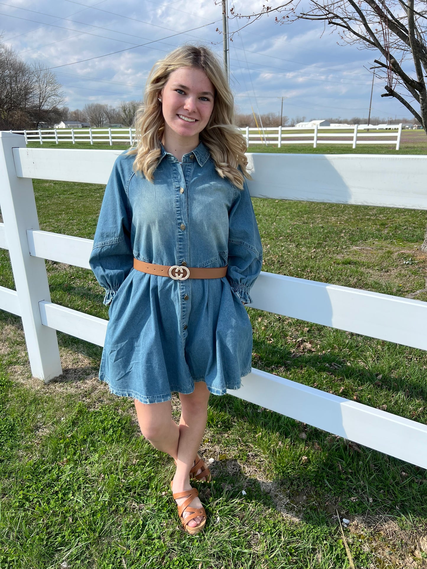 Carole Christian Button Down Denim Dress