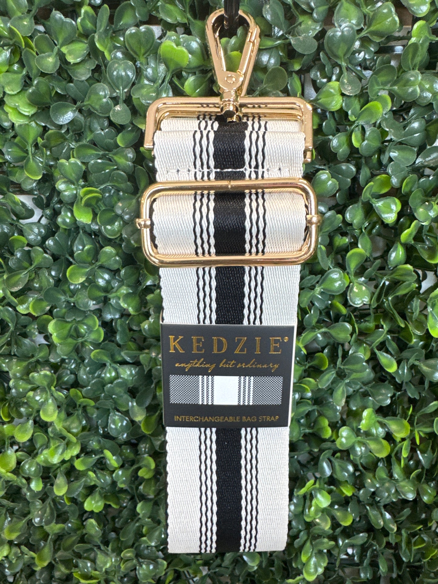 Kedzie Interchangeable Bag Strap