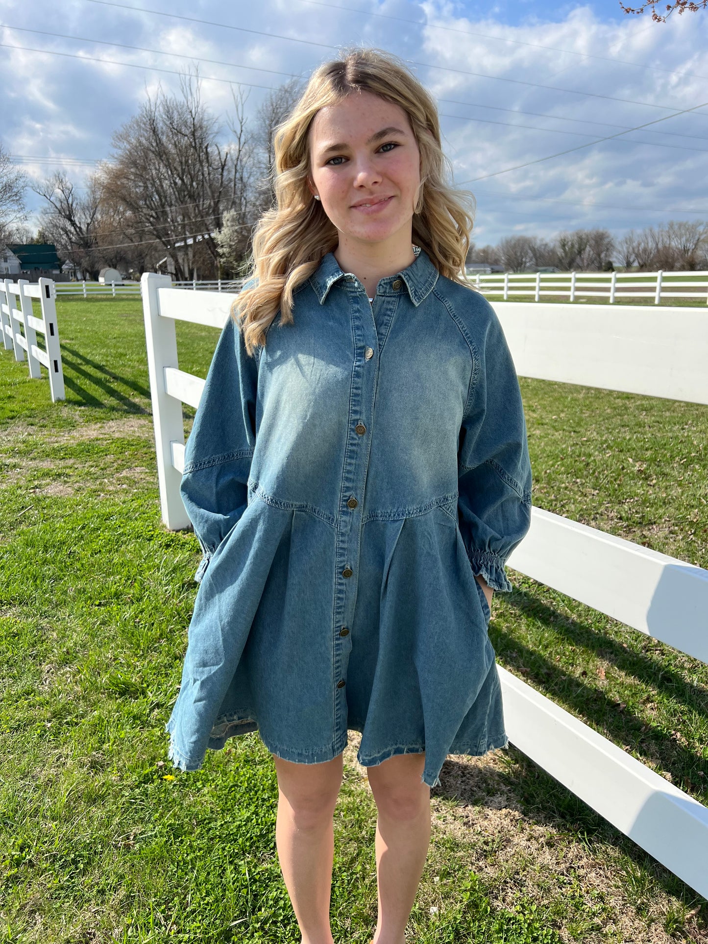 Carole Christian Button Down Denim Dress