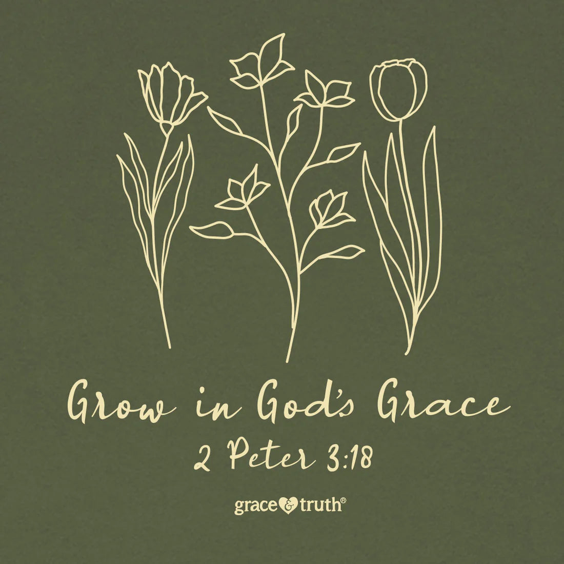 grace & truth Womens T-Shirt Grow In Grace