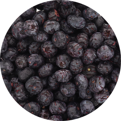 Freeze Dried Blueberries