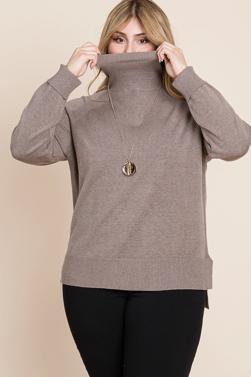 Plus Size Buttery Soft Solid Knit Two Tone Turtleneck - Mocha