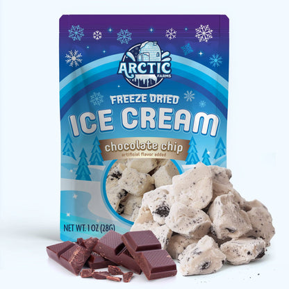 Freeze Dried Ice Cream That Does Not Melt (Bits) (1oz)