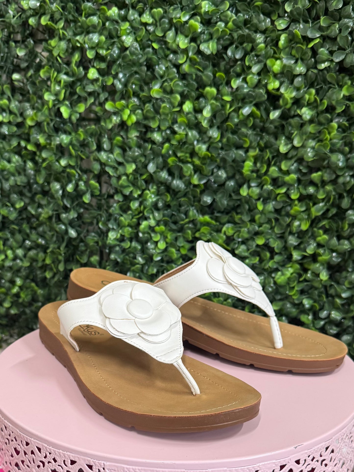 Corkys So Delish - White