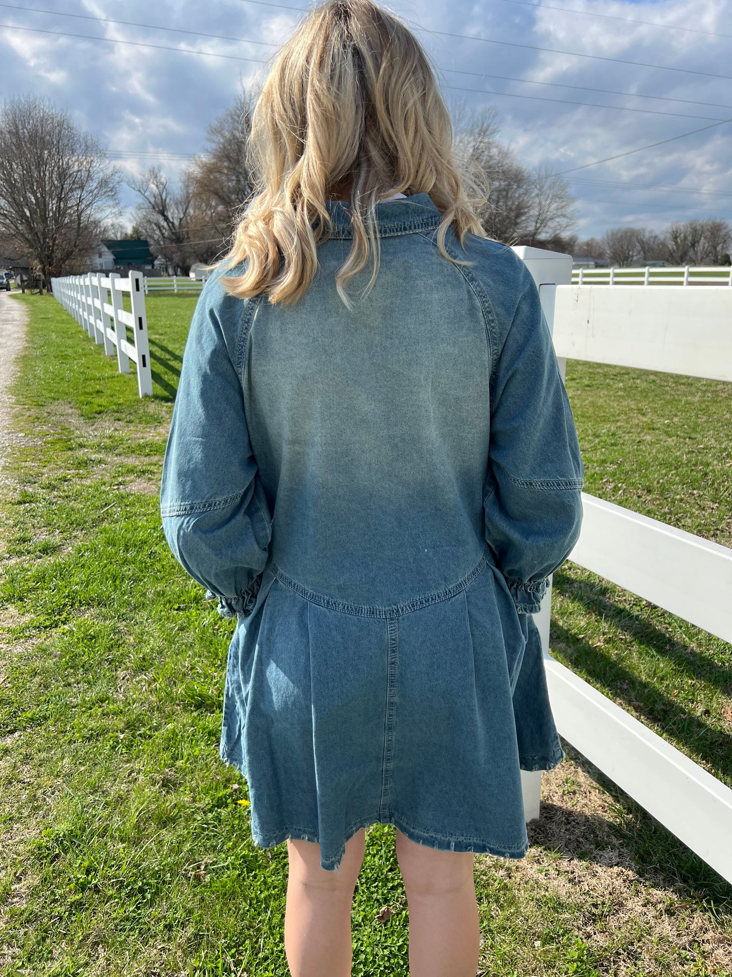 Carole Christian Button Down Denim Dress