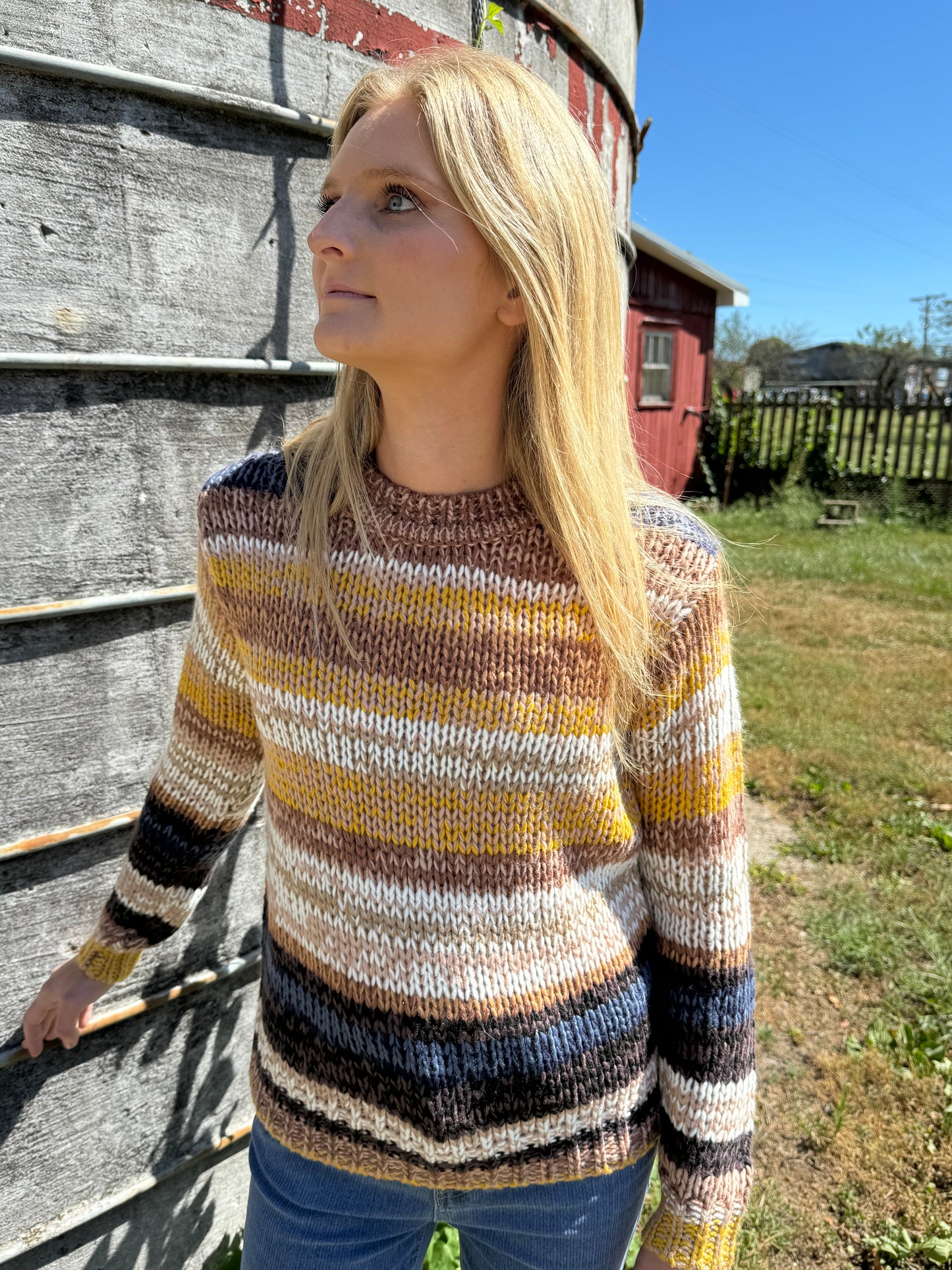 Charlie B Space Dye Yarn Sweater Crew Neck