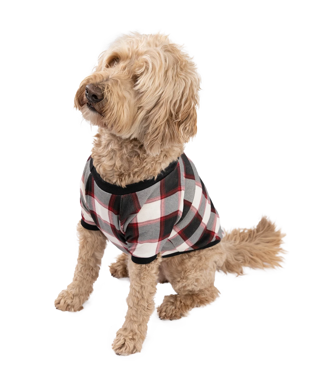 Black Plaid Dog Shirt