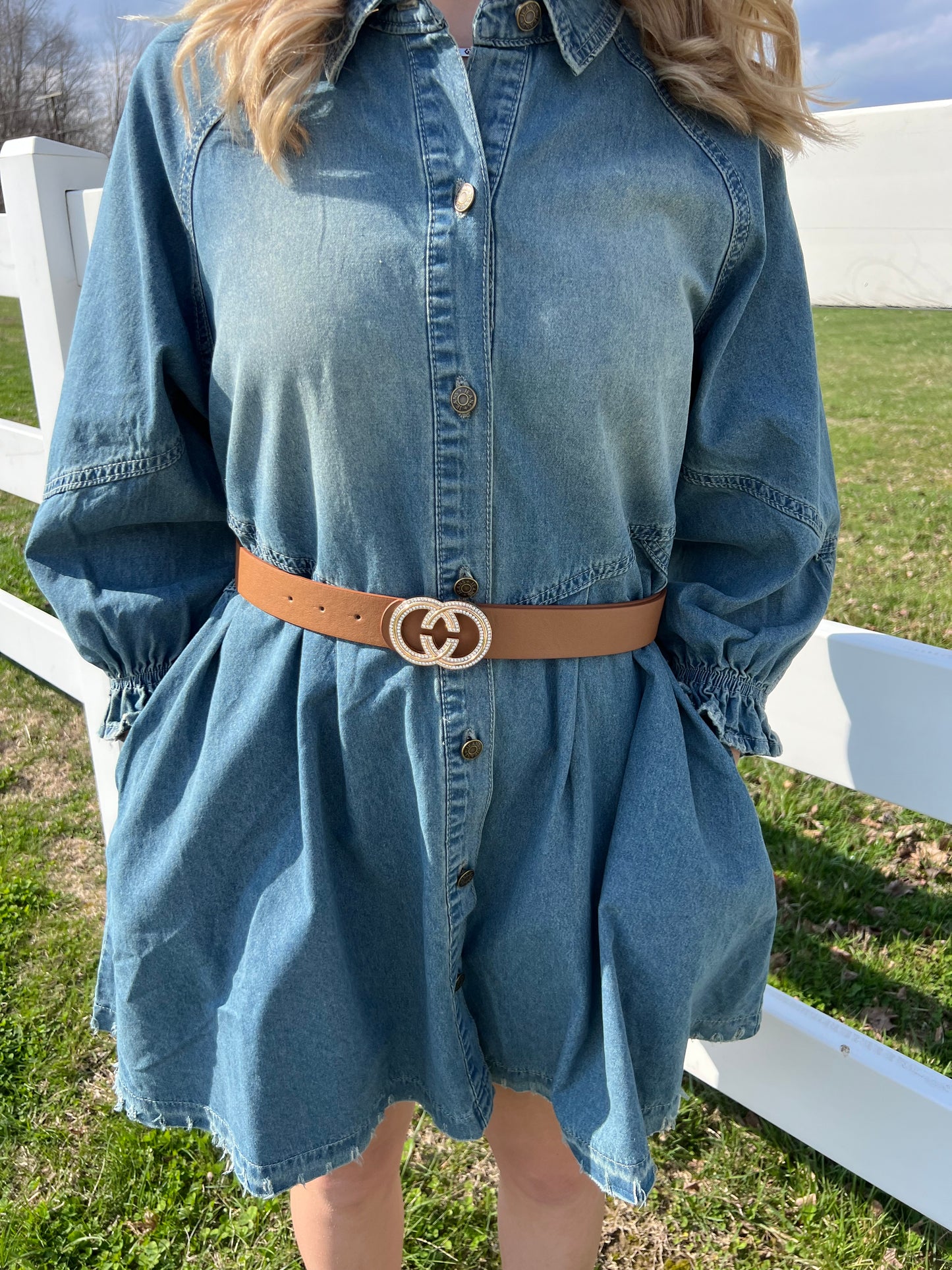 Carole Christian Button Down Denim Dress