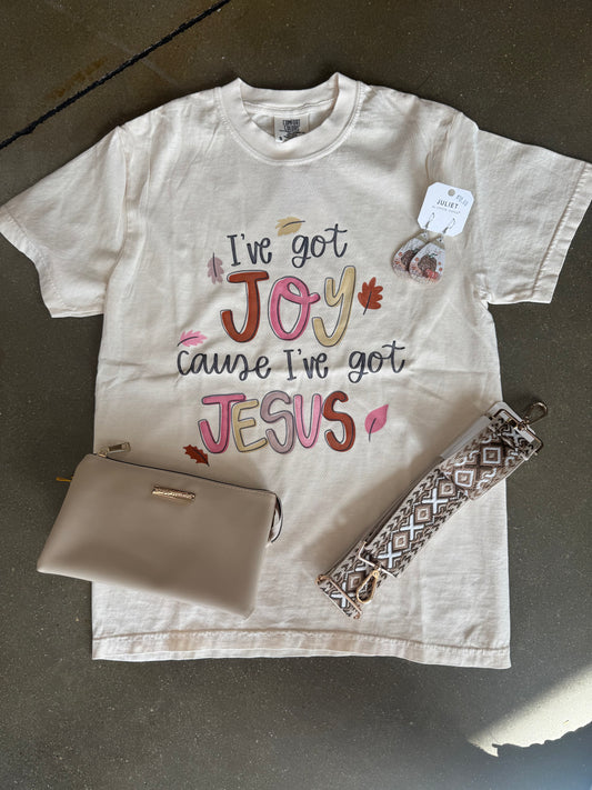 I've Got Joy Cause I've Got Jesus Graphic Tee - Comfort Colors