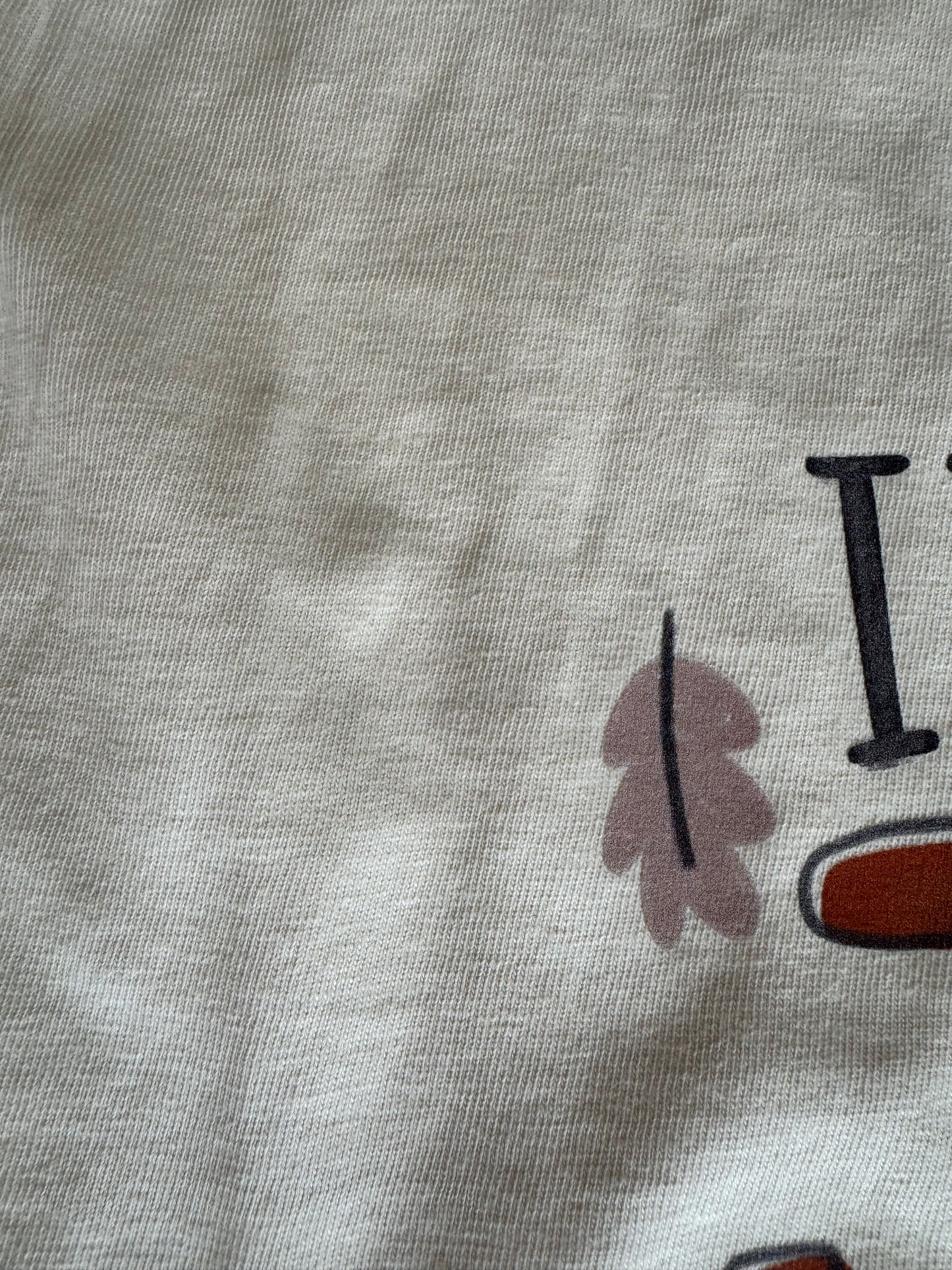 I've Got Joy Cause I've Got Jesus Graphic Tee - Comfort Colors