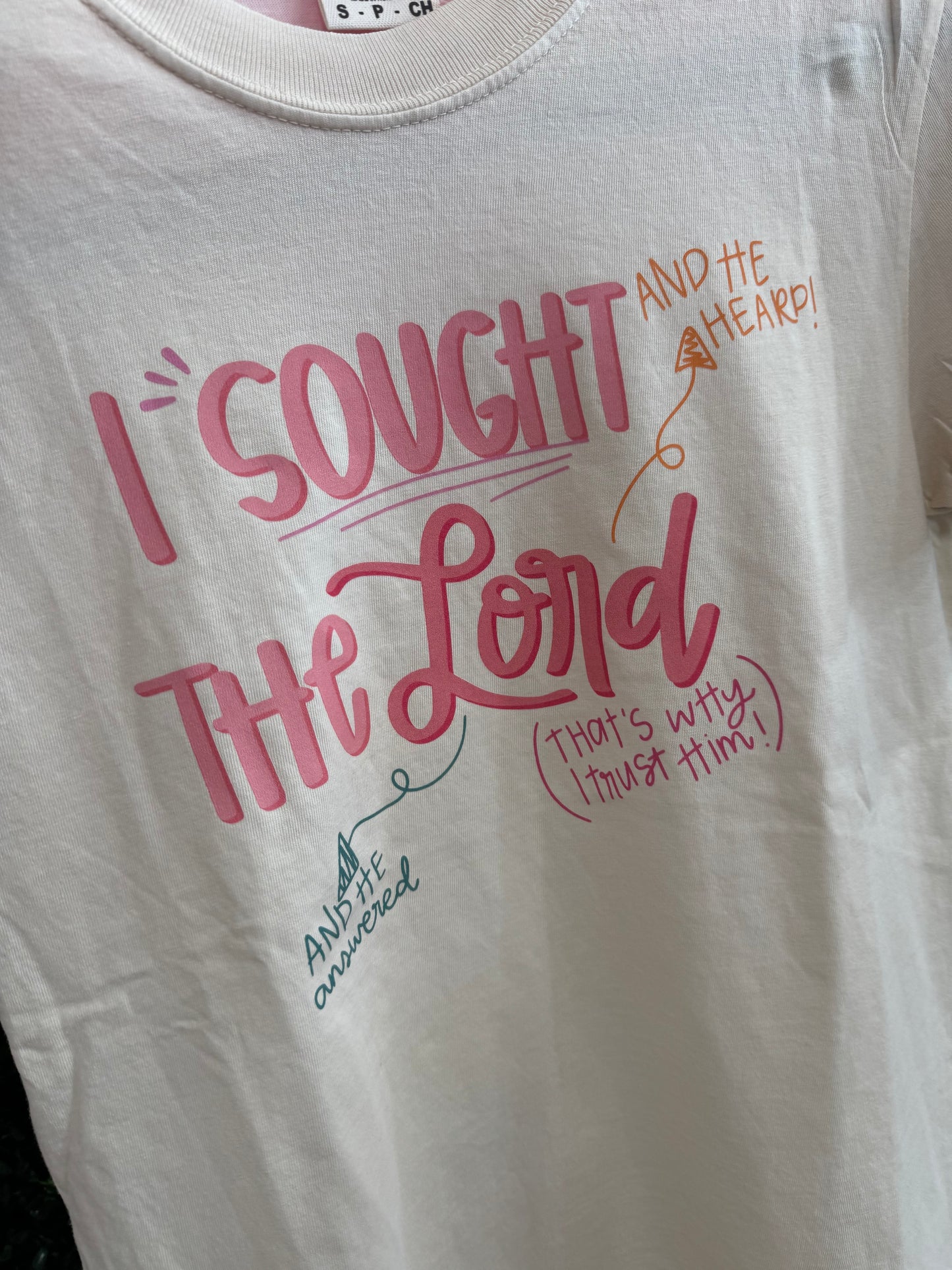 I Sought the Lord Graphic Tee - Comfort Colors