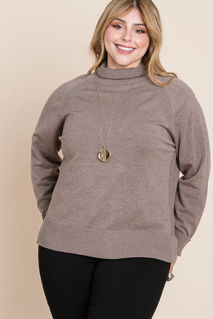Plus Size Buttery Soft Solid Knit Two Tone Turtleneck - Mocha