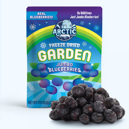 Freeze Dried Blueberries