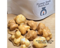 Caramel Popcorn Wax Melt