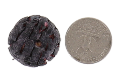 Freeze Dried Blueberries