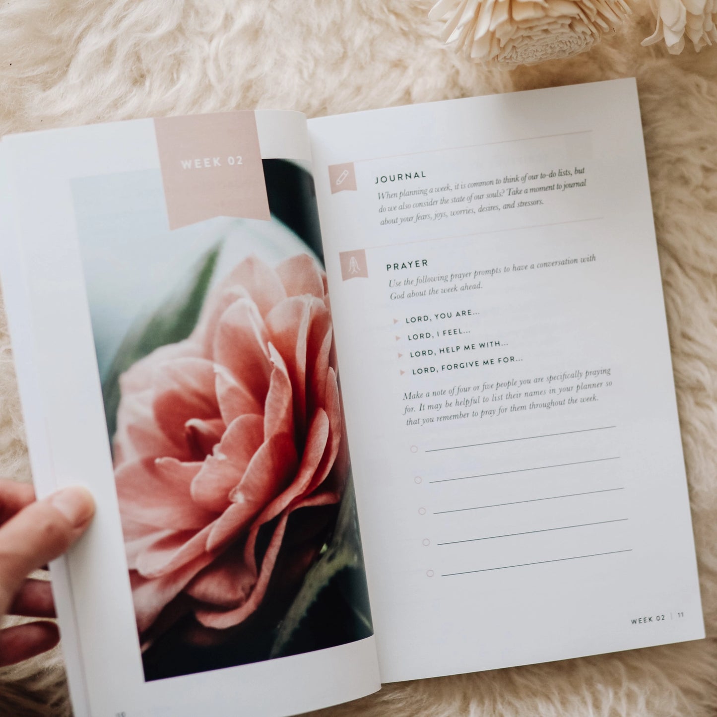 Fix Your Focus | A 52-Week Guide To Help You Put God First