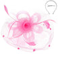 Flower w/ Dotted Netting Mesh Women's Fascinator