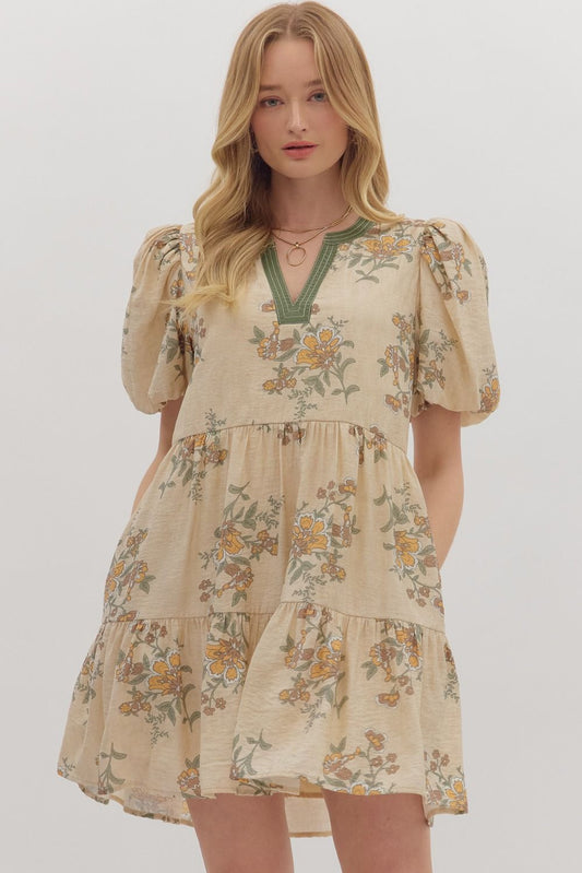 Entro Mini Dress (beautiful fall colors)