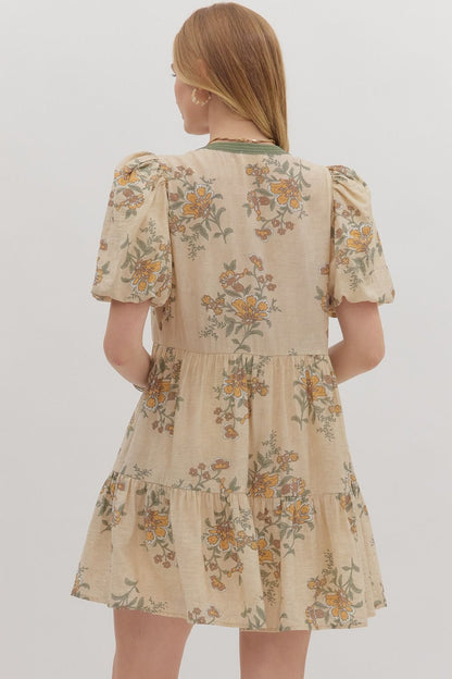 Entro Mini Dress (beautiful fall colors)