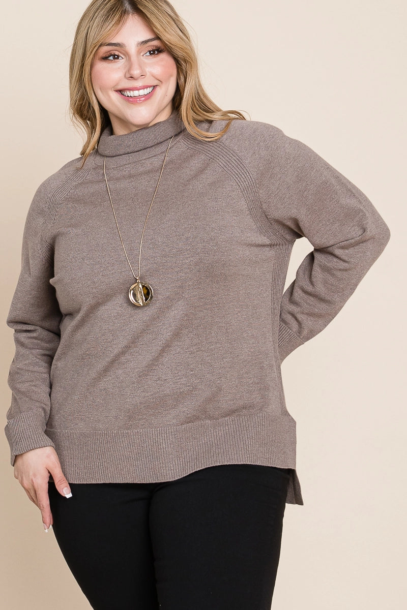 Plus Size Buttery Soft Solid Knit Two Tone Turtleneck - Mocha