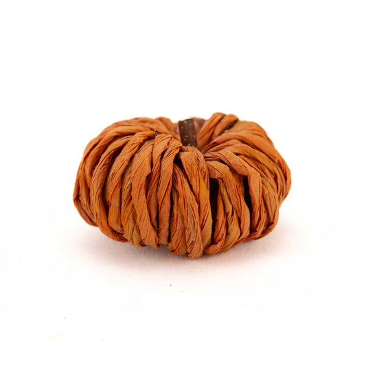 Petite Pumpkin Decor
