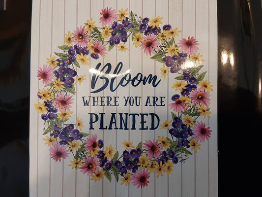 Bloom where you are Planted